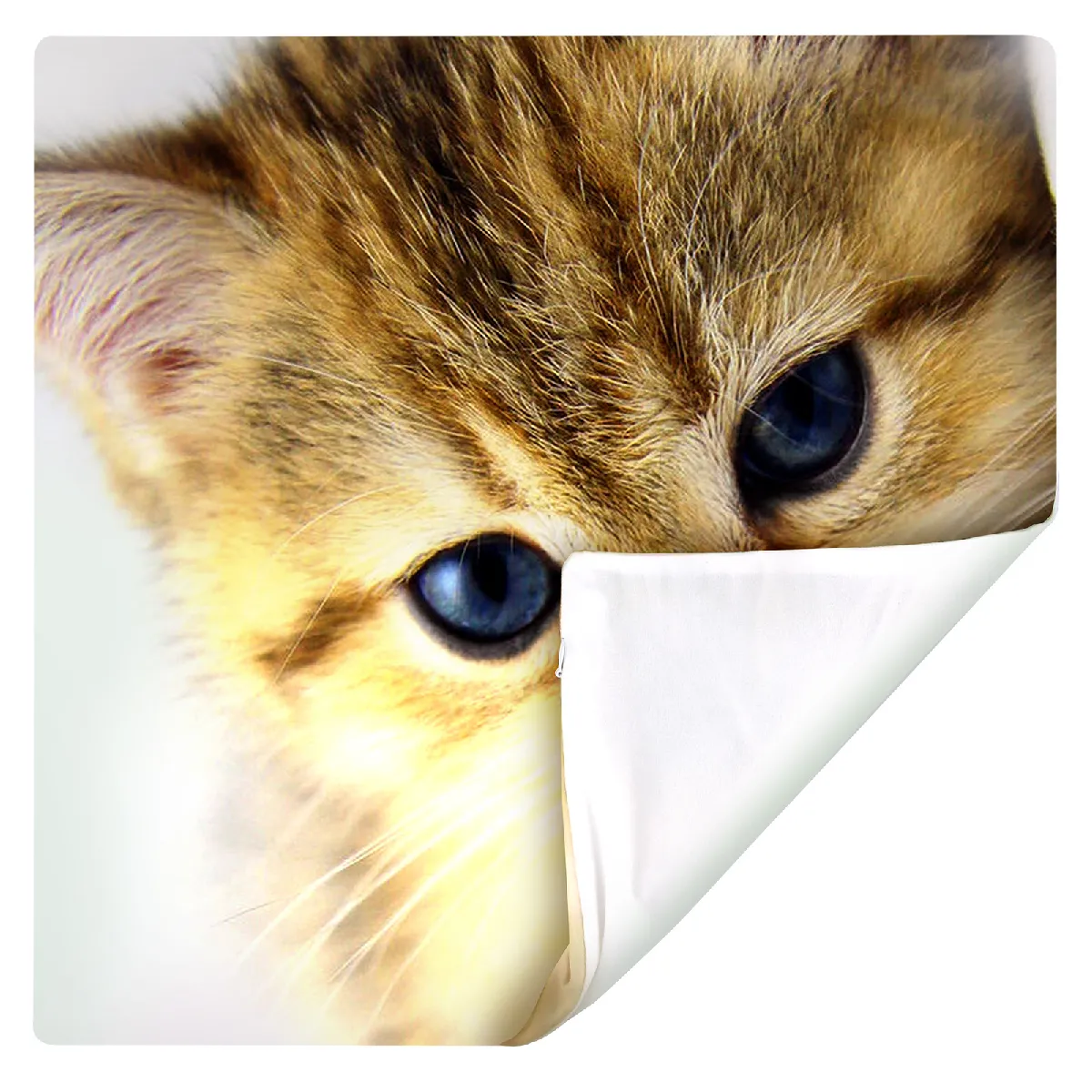 Avizar Lot de 2 housses coussin - Motif Chaton-40x40cm