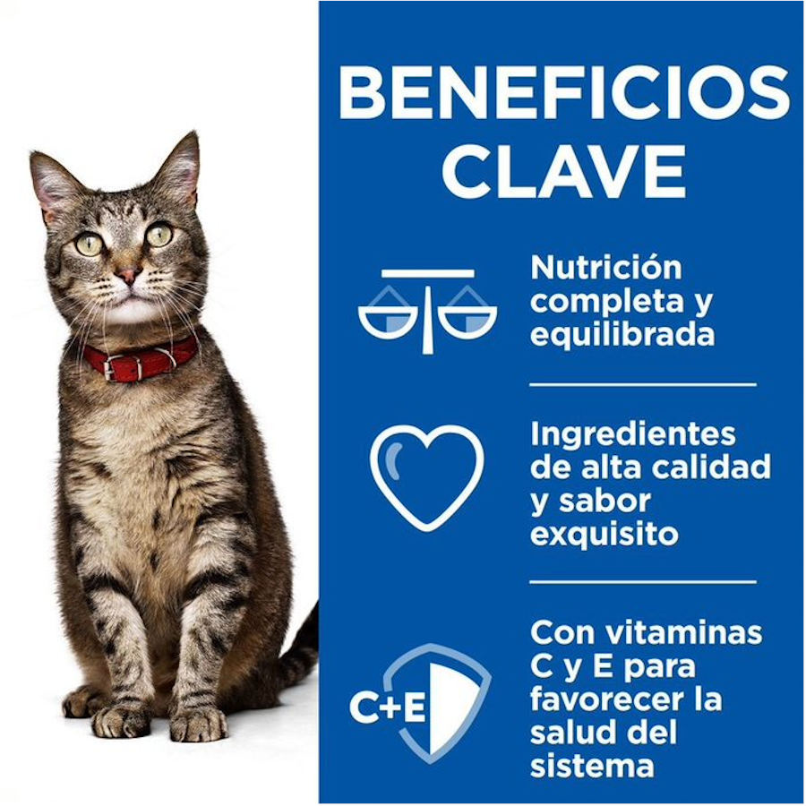 Sachê de ensopado de frango e vegetais Hill's Science Plan Adult Healthy Cuisine para gatos.