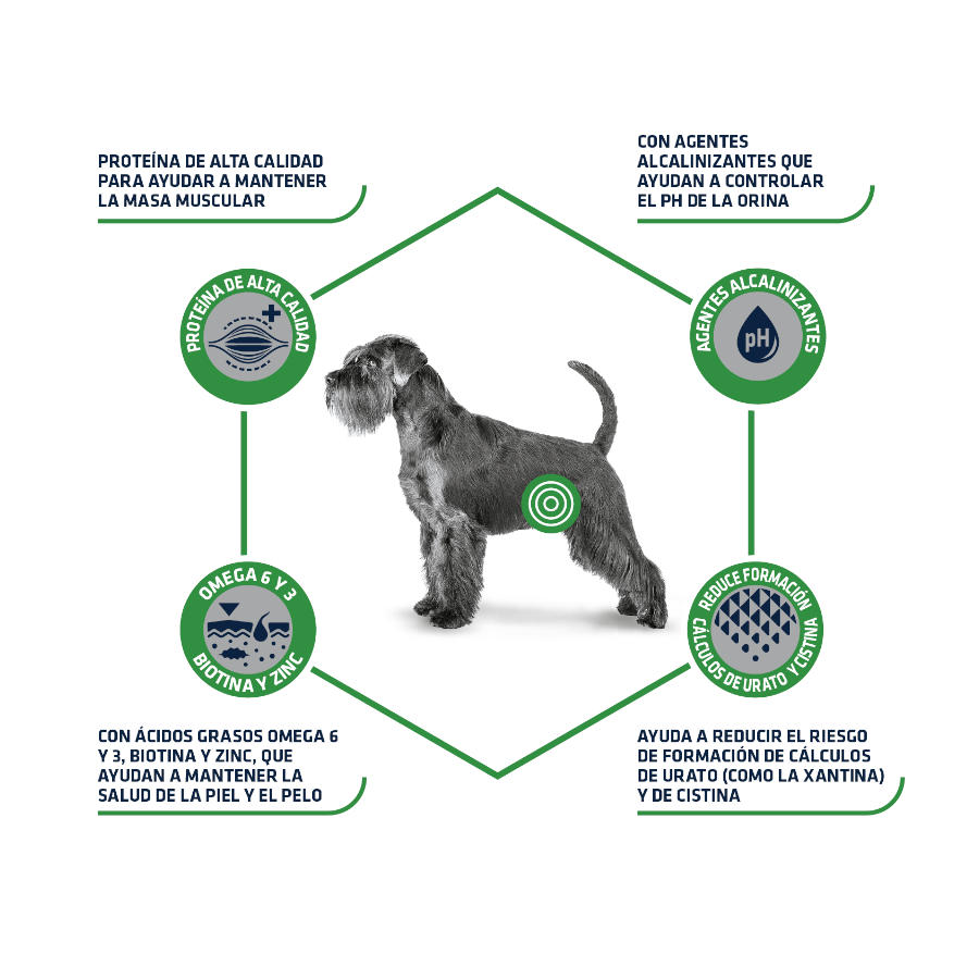Ração para cães com baixo teor de purinas para leishmaniose urinária canina avançada