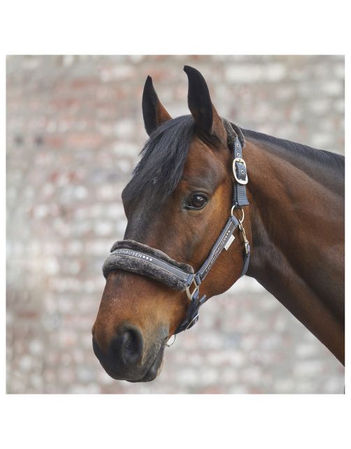 Waldhausen Halter Elegant - Paardenhalster - Pony