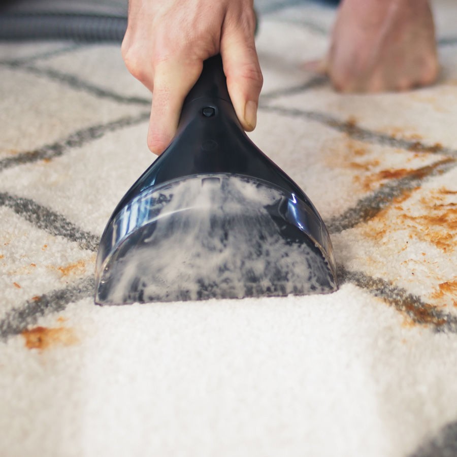 Bissell - SpotClean Professional Transportabel Plet/Tæpperenser
