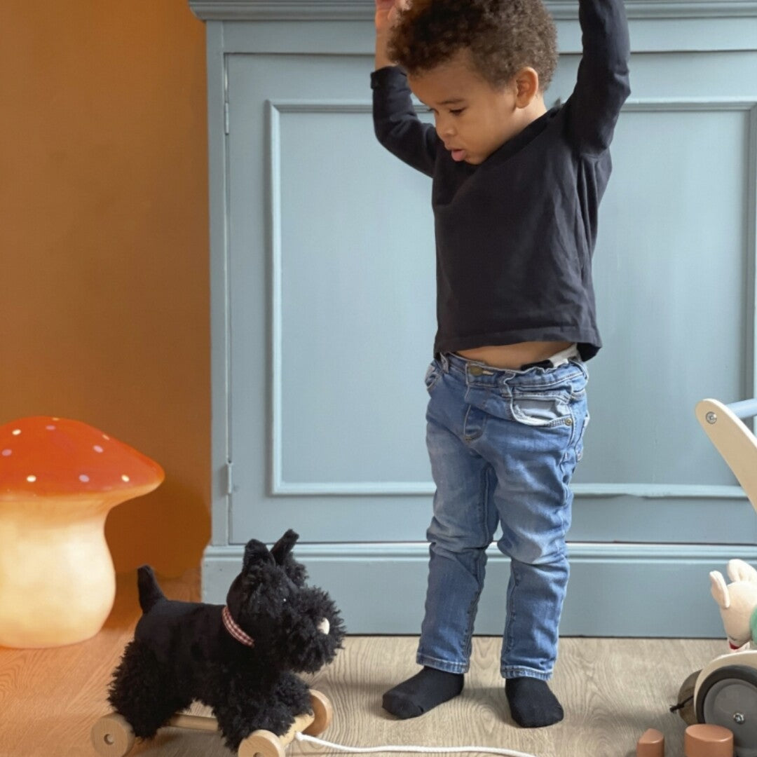 Egmont toys trekfiguur hond walter