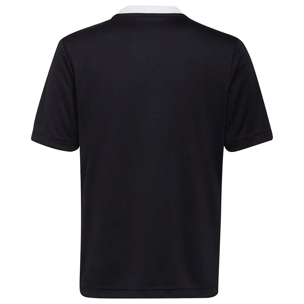 Camiseta de manga curta adidas Entrada 22