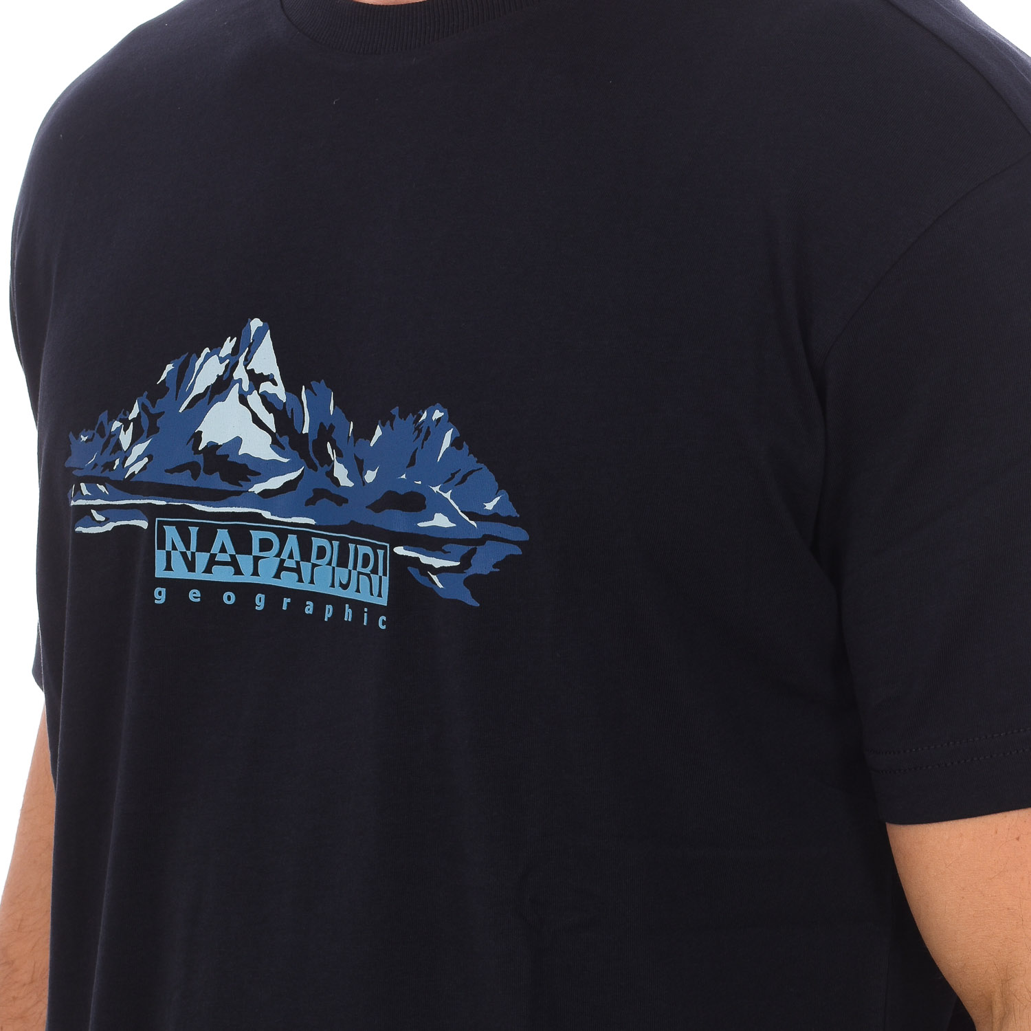 Camiseta S-backcountry Ss Np0a4gm1