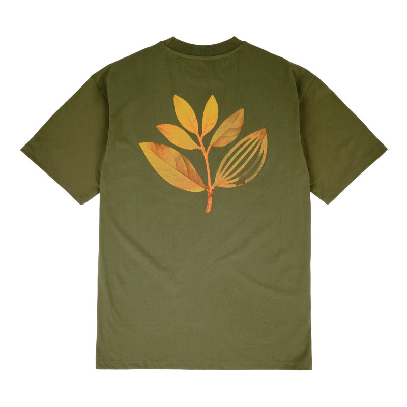 T-SHIRT AUTOMNE - KAKI