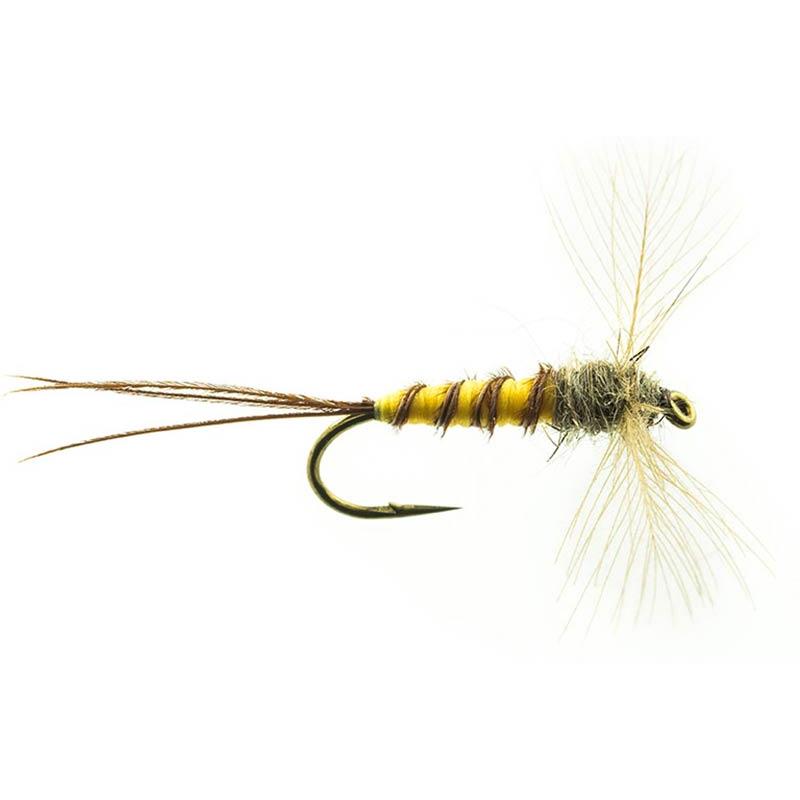 Mouche Devaux Spent Jbsmai 01 Bl