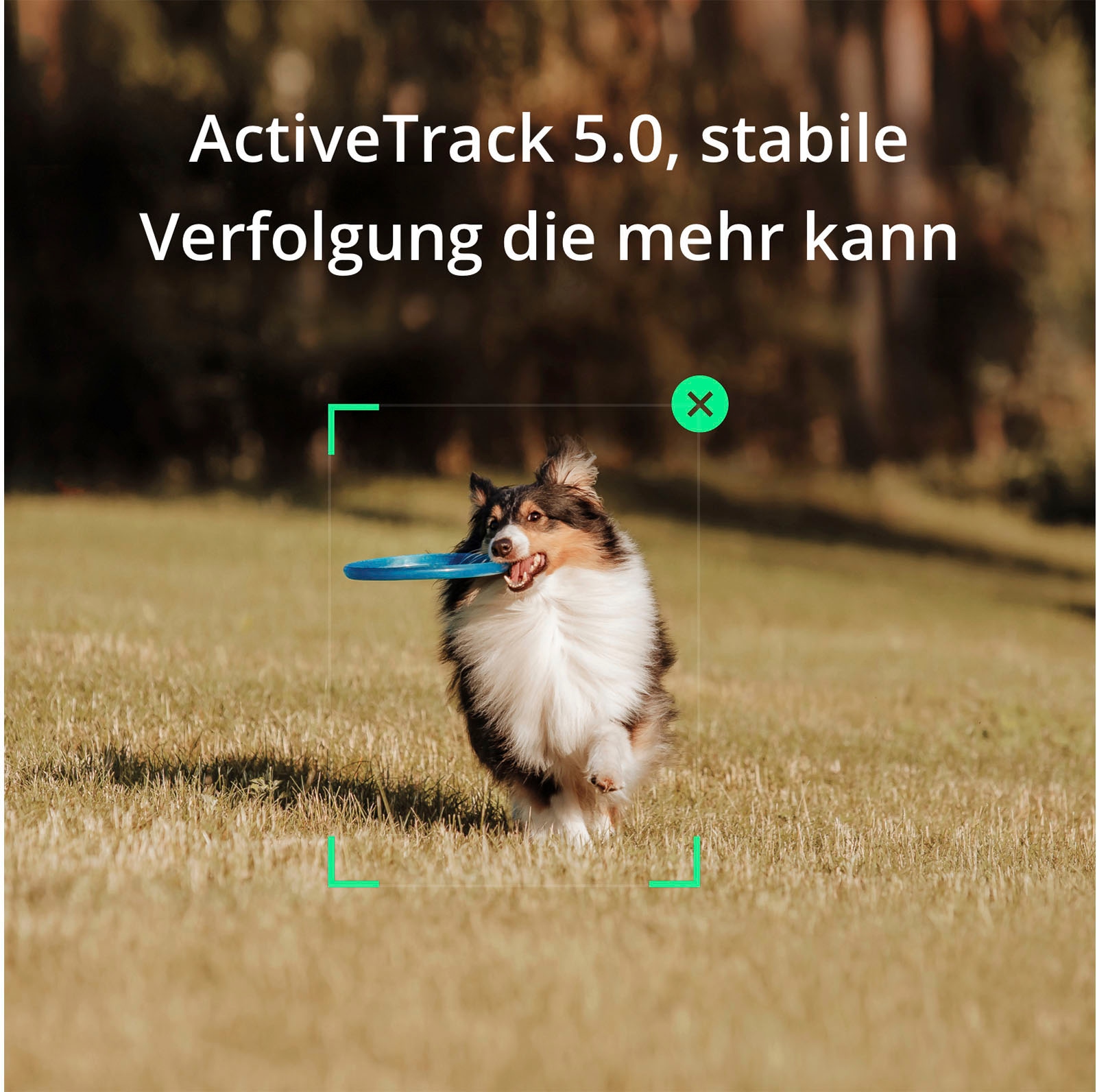 DJI Gimbal »OSMO MOBILE SE«