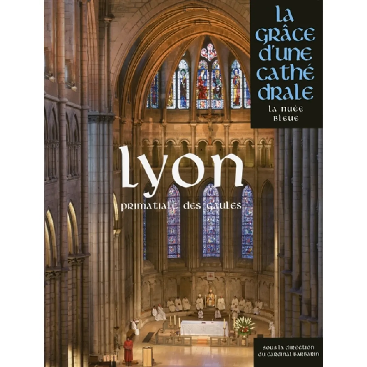 Lyon : primatiale des Gaules · Occasion