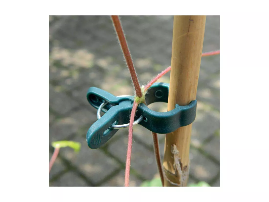 Pinces de fixation en plastique pour plantes (Lot de 10)