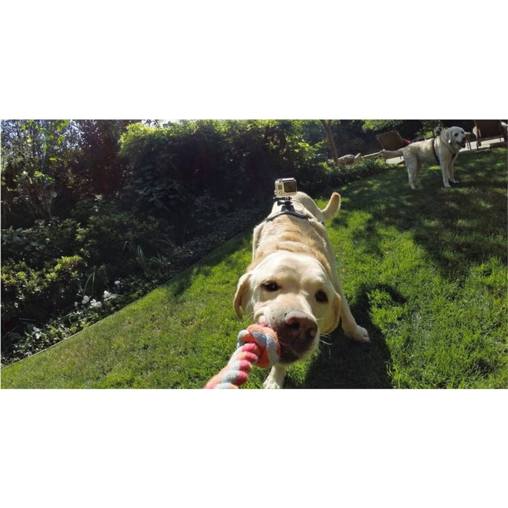 Dual Hundegeschirr Brust Gurt Kamerahalterung für GoPro