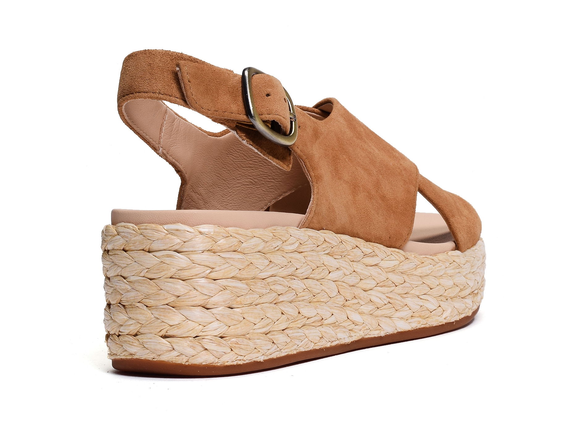 Kimmei cross camel