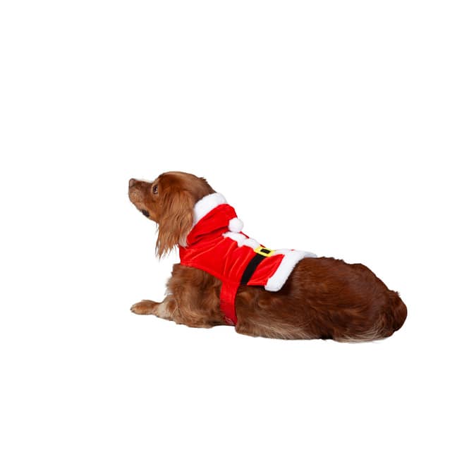 Hunde - Weihnachtskostüm - ca. 34 x 16 cm