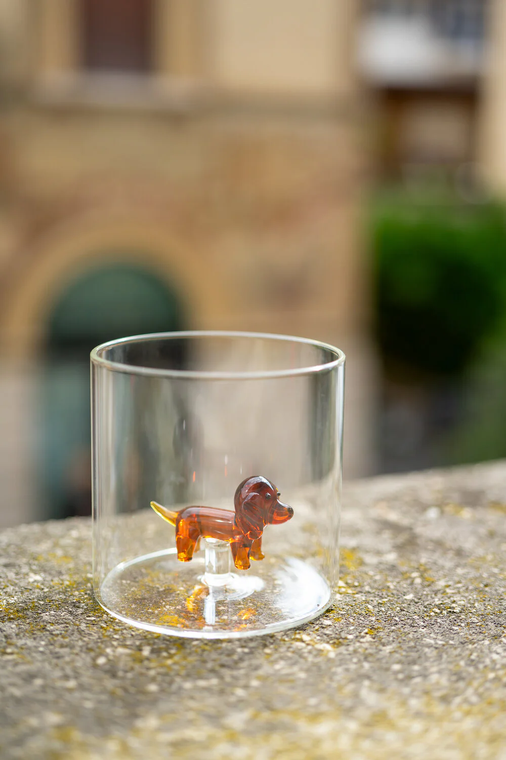 WD lifestyle  Borosilicate glas, Basset hund - 250 ml.