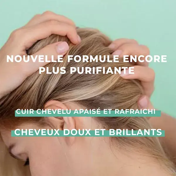 Shampoo Energie Fruit Hair Clean Detox Chá Verde e Aloe Vera 250ml