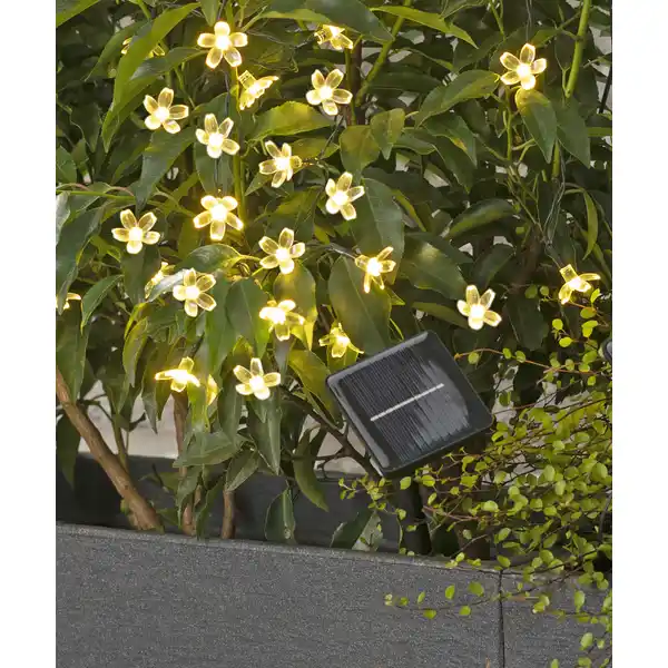 Solar-Lichterkette Blumen