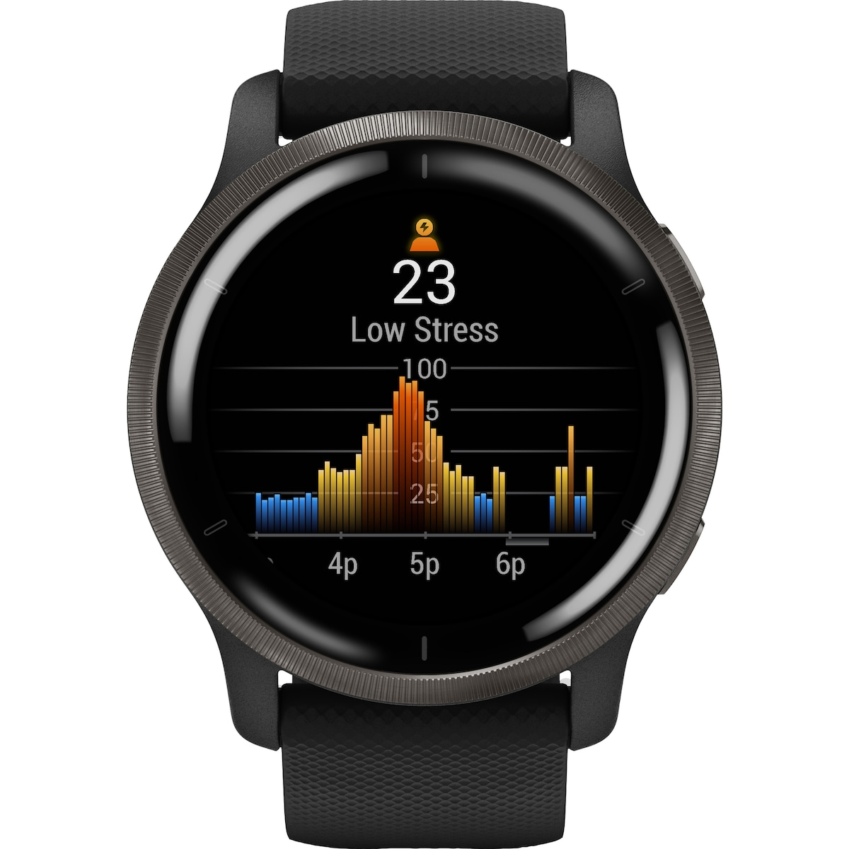 Garmin Venu 2 GPS smartklokke (skifersort)