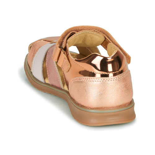 Citrouille et Compagnie - FRINOUI - Bronze / Rose
