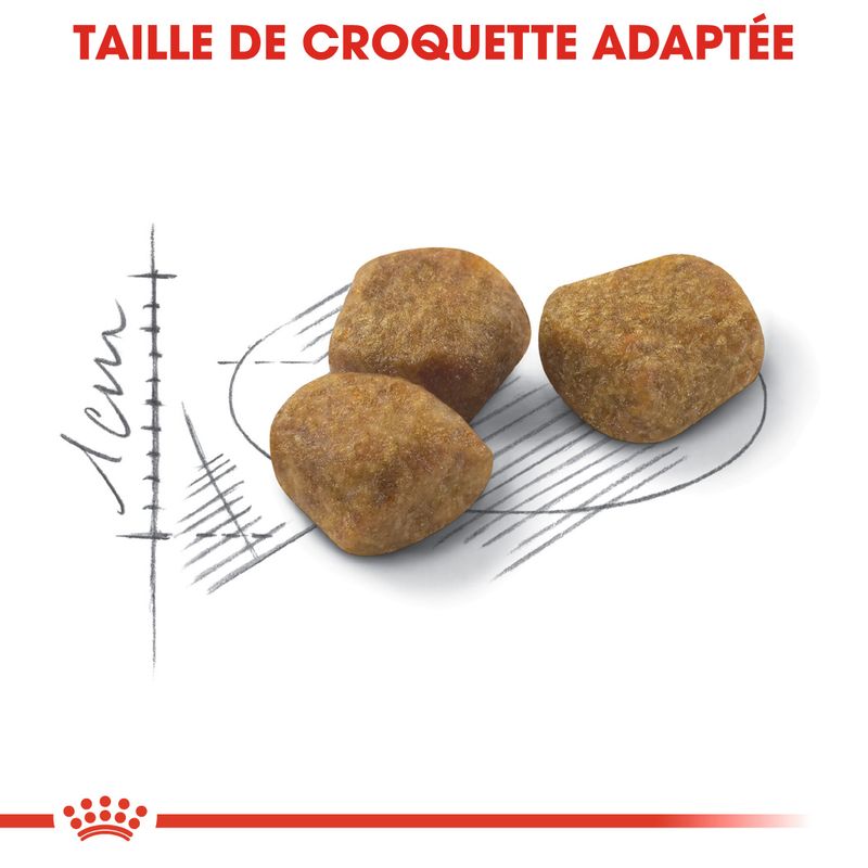 Royal Canin Home Life Indoor 7+ à prix discount sur bitiba.fr