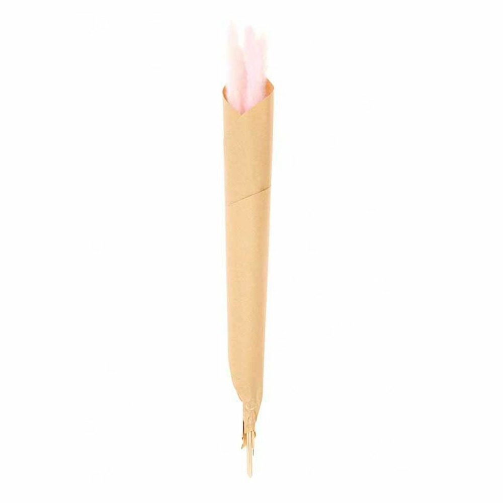 2 bouquets d'herbes de palma séchées rose - 70 cm