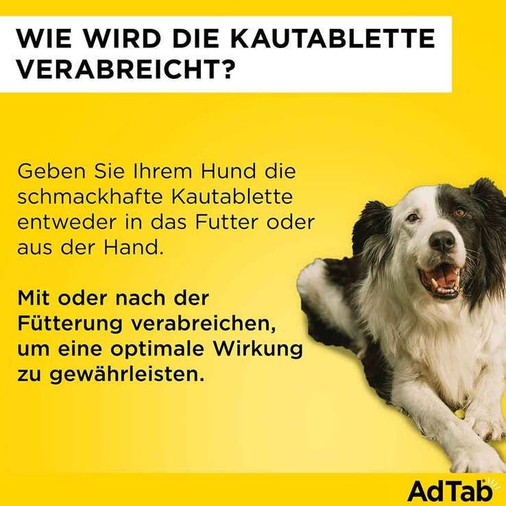 AdTab Kautabletten für sehr kleine Hunde 56 mg 1,3 bis 2,5 kg, 3 St