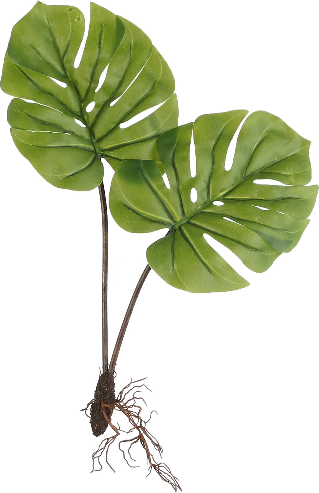 Mica Decorations kunstplant Monstera met wortels 30 x 13 x 30 cm