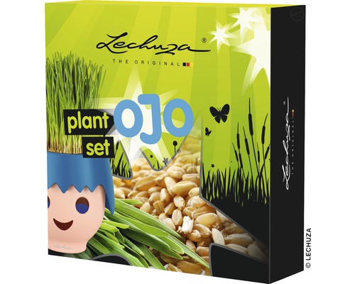 Plantenset voor Lechuza Ojo plantenbak niet inbegrepen