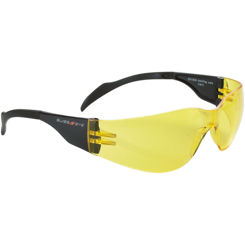 Swiss Eye Outbreak Radbrille