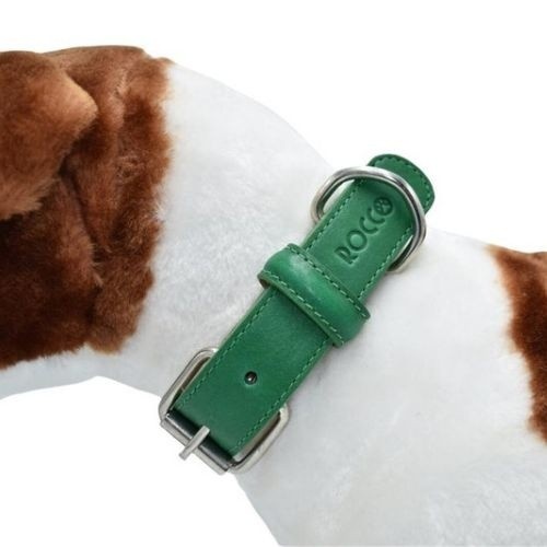 Coleira verde para cães Loyal Rocco