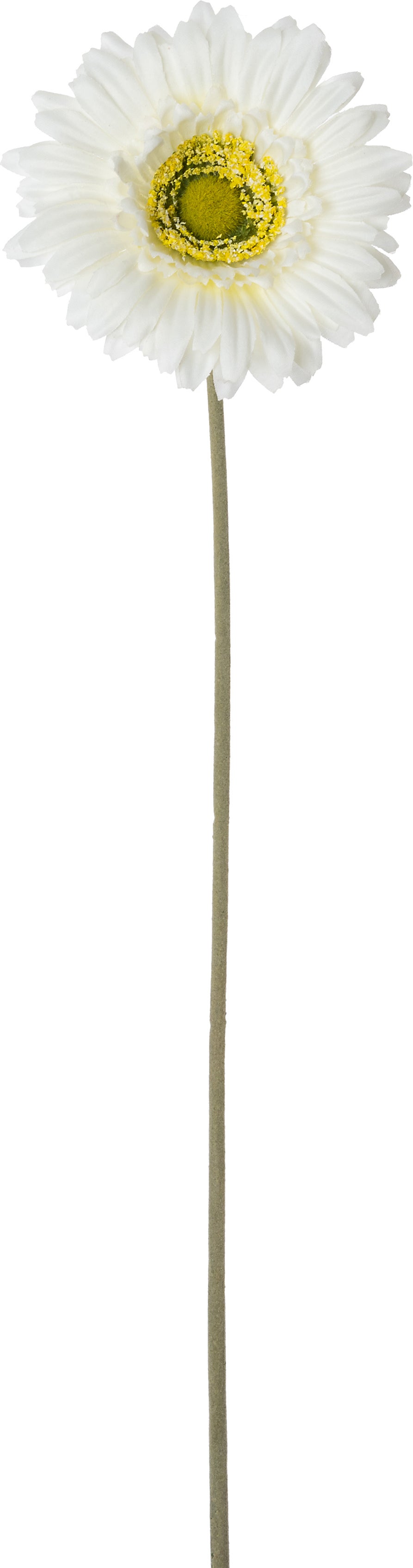 Intratuin kunstbloem Gerbera wit 62 cm
