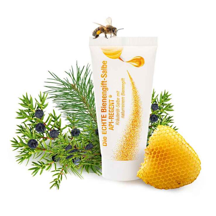 Die Echte Bienengift-Salbe Api Regent, 50 ml