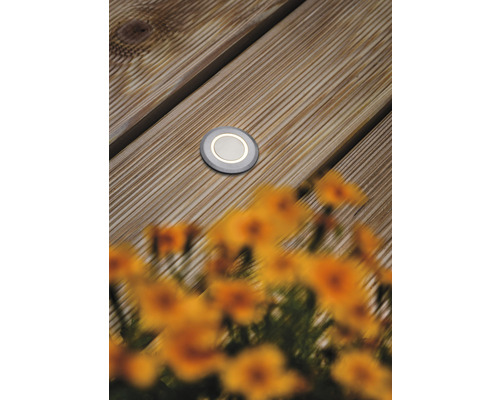 Paulmann inbouw vloerlamp IP67 rond 2W 20 lm 3000K warm wit Ø 50 mm Huis geborsteld roestvrij staal 230V