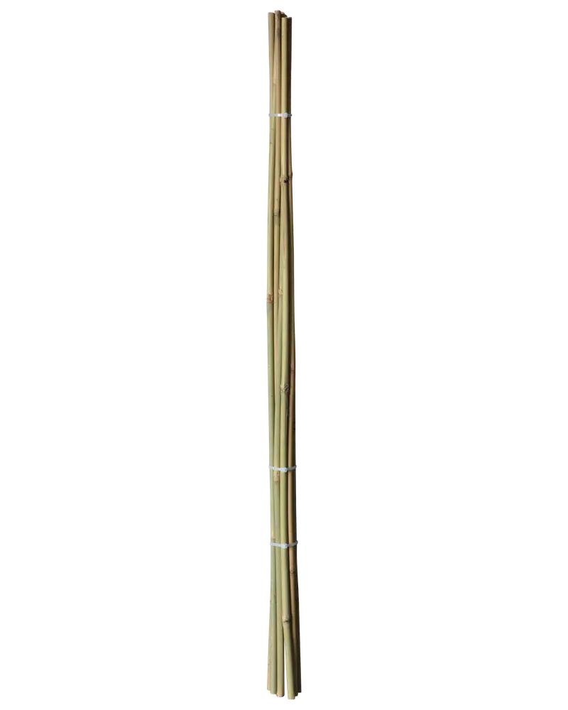 Bambuspinde 120 cm 4-pak