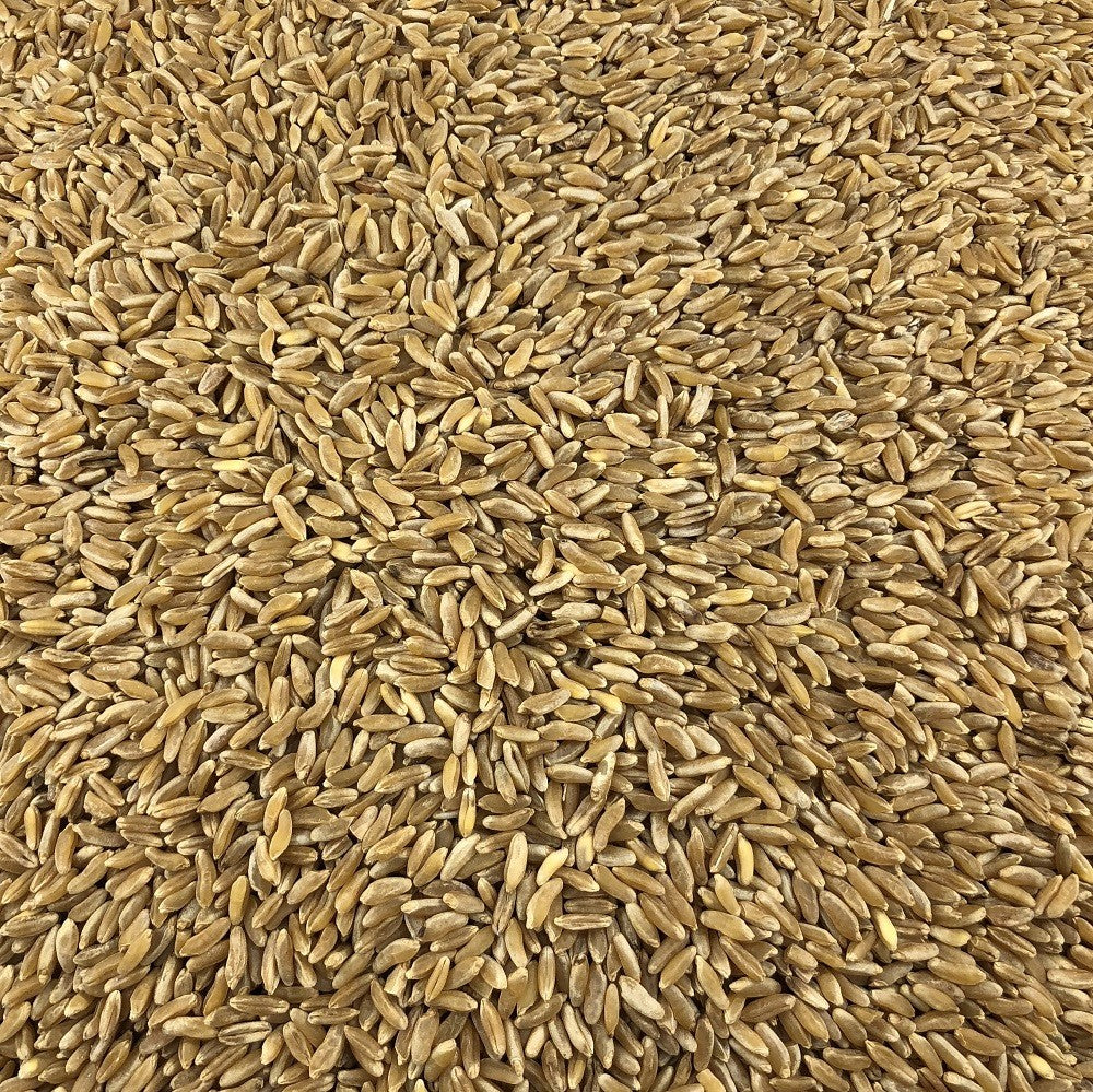Blé Ancien Bio en Vrac 500g Vrac Bio