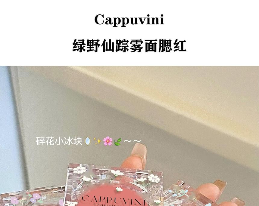 Cappuvini - Wizard Of Oz Matte Multi-Use Blusher - 4 kleuren