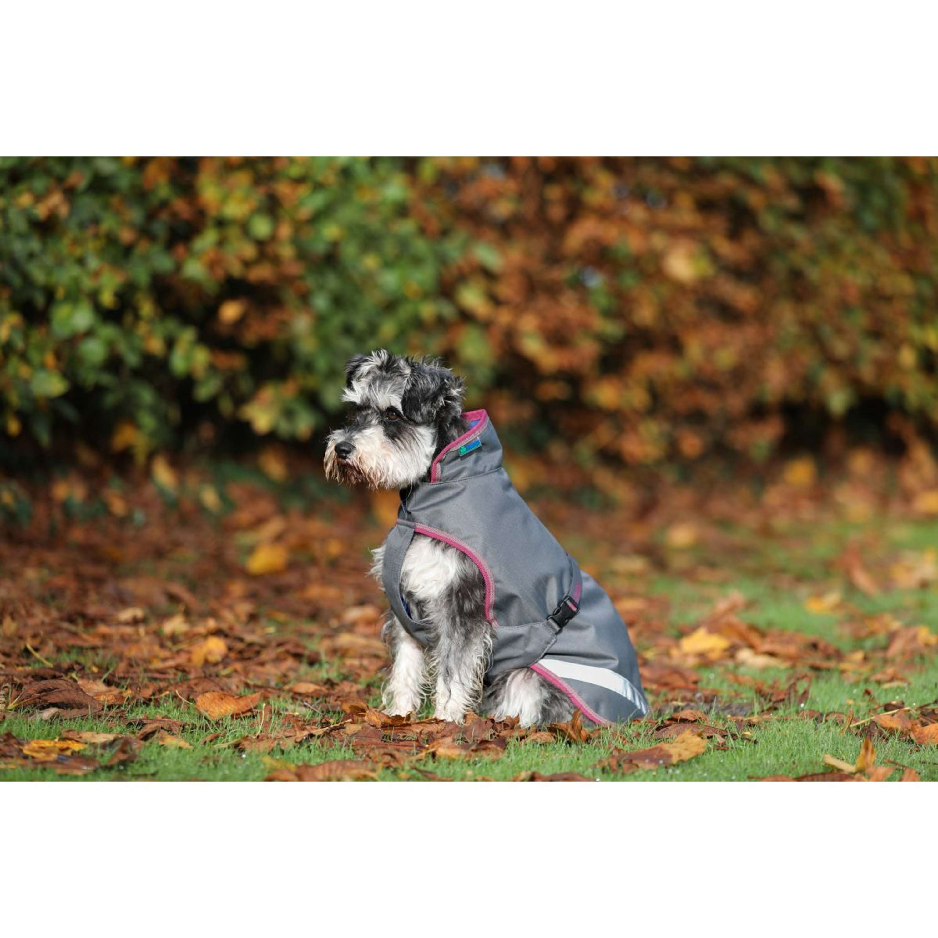 Bucas Freedom Dog Rug 50g Smoke Grey