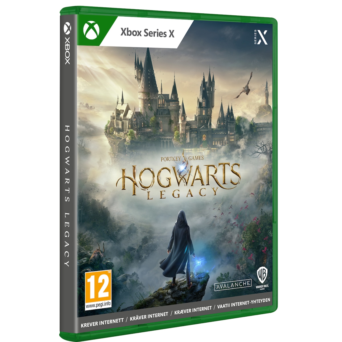 Hogwarts Legacy (Xbox Series X)