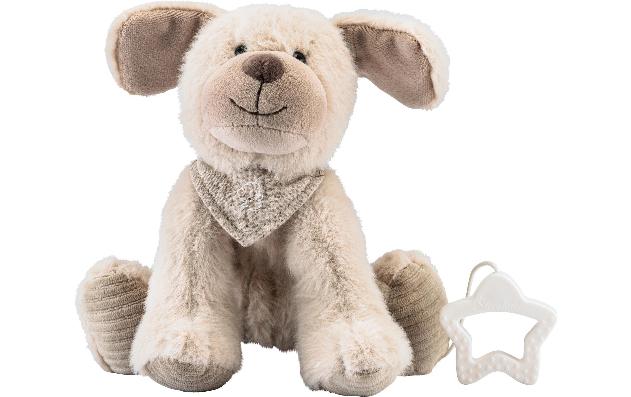 Spieluhr Hund Lucky MSpieluhr mit praktischem Sterngriff