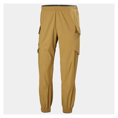 Pantalon de Randonnée Helly Hansen Vista Hike Marron