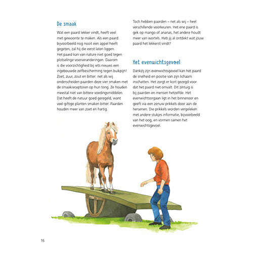 Uitgeverij kluitman alles over paarden