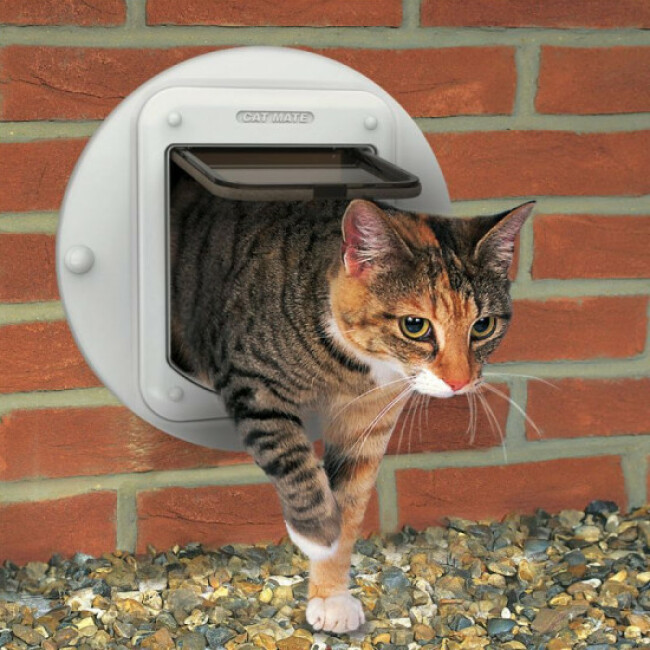 Chatière électronique 4 voies à micropuce Cat Mate Elite 355 pour chat