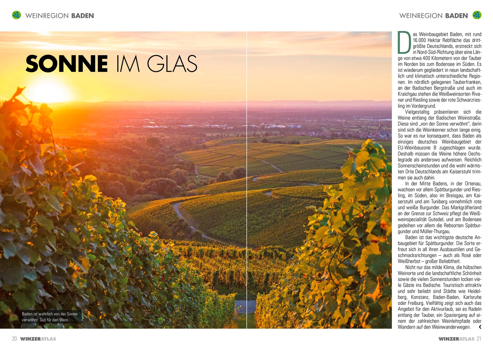 Winzeratlas 2025