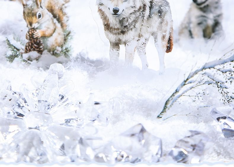 JIMO - Winter / Dierensticker (Diverse ontwerpen)