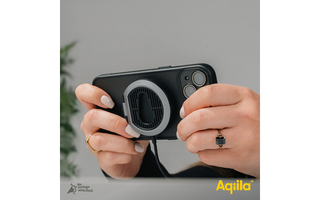 Aqiila Powerbird QC1 Drahtloses Handyladegerät und -halterung 15 W schwarz
