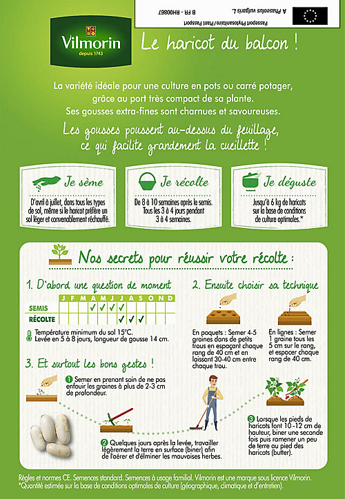 Graines de Haricot nain Mascotte 10m