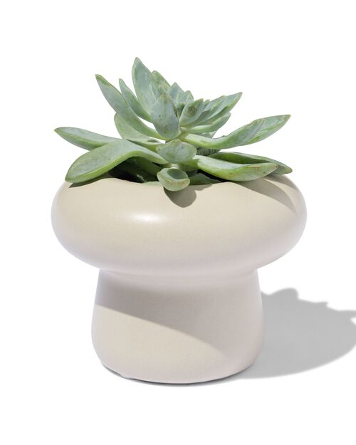 pot de fleurs Ø 6 x 7 cm céramique champignon blanc