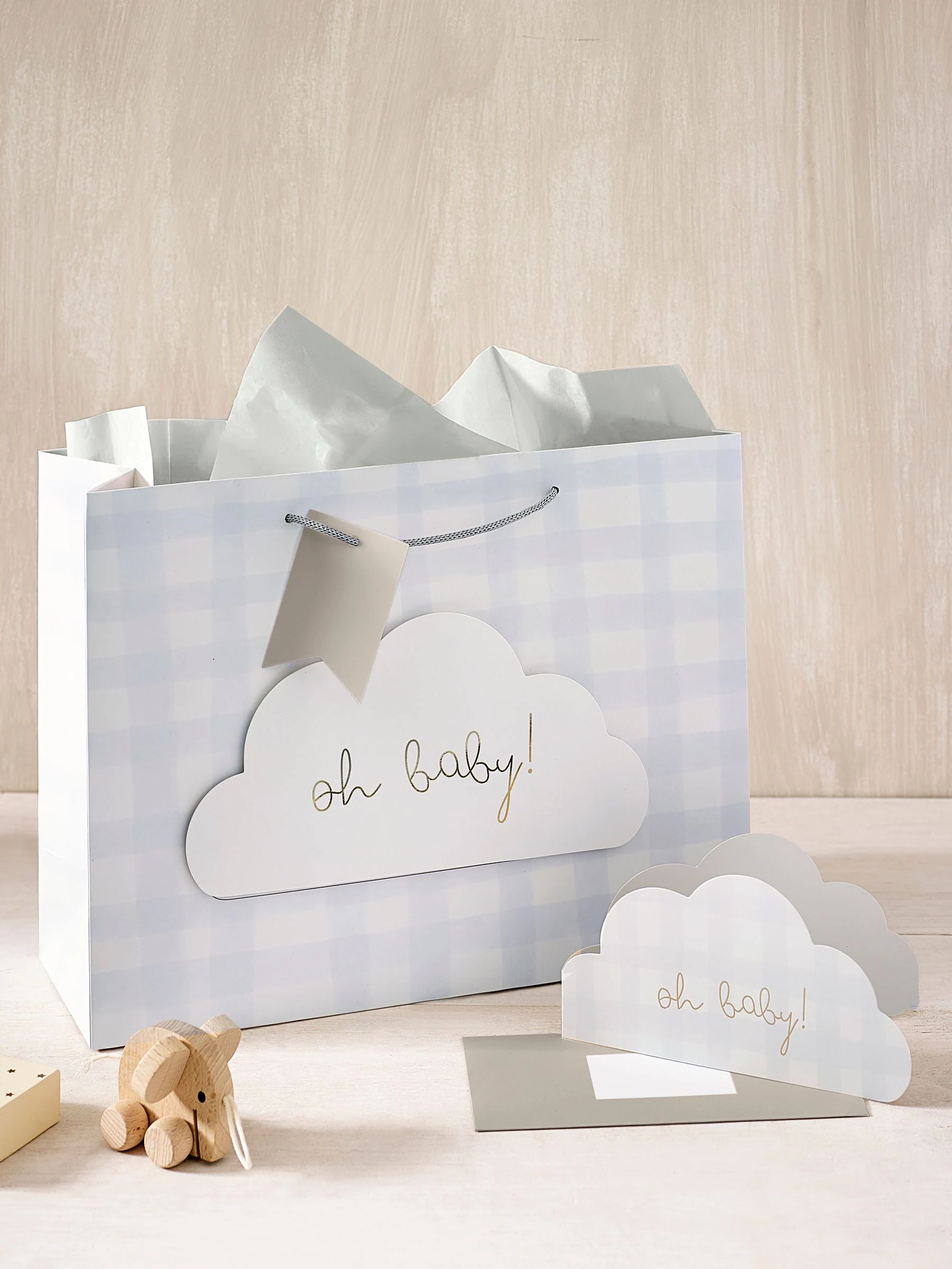 Geschenktasje en kaartset met gingham-ruit voor baby's