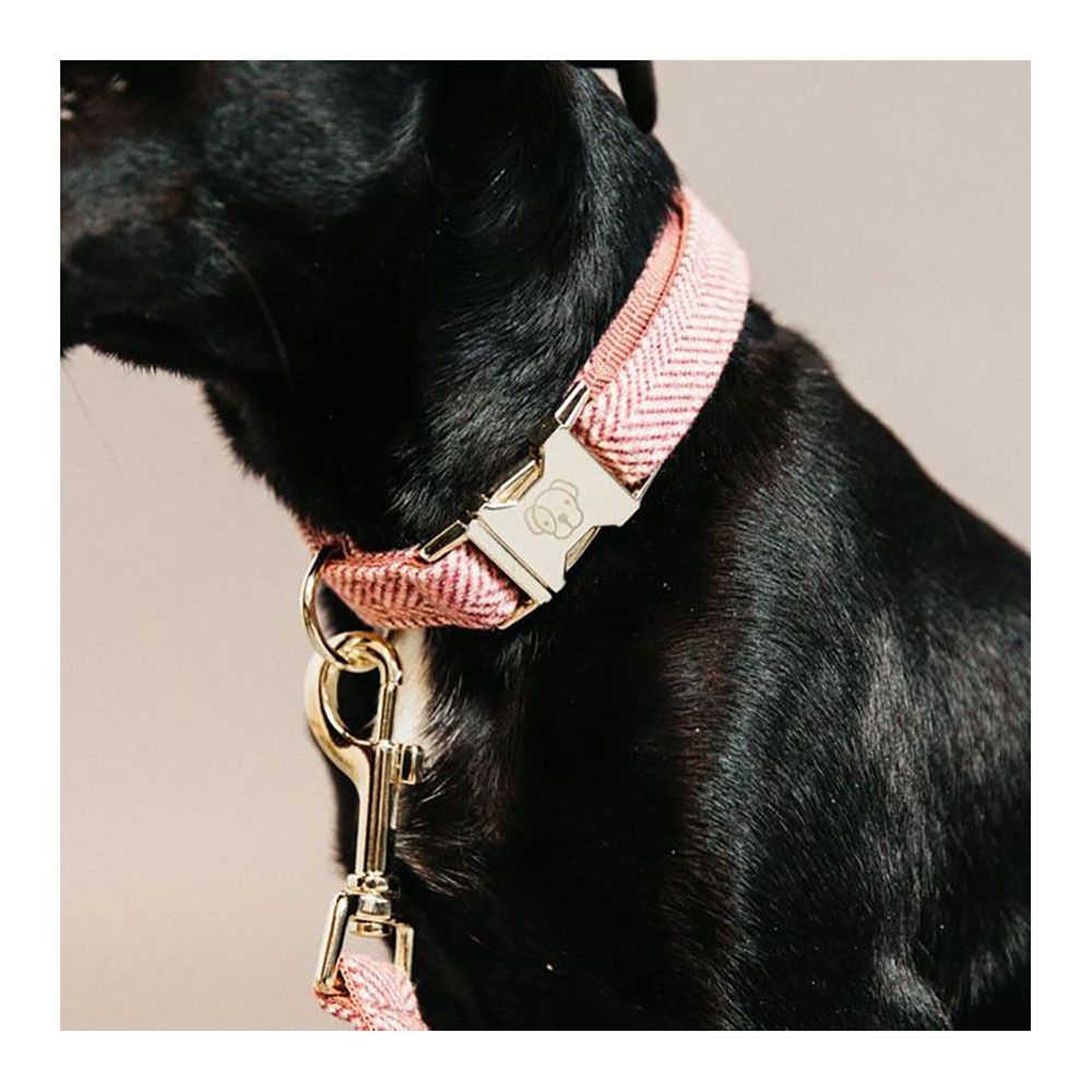 Kentucky LAINE -  Collier pour chien old rose