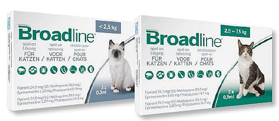 Broadline Spot On Kat | 11922