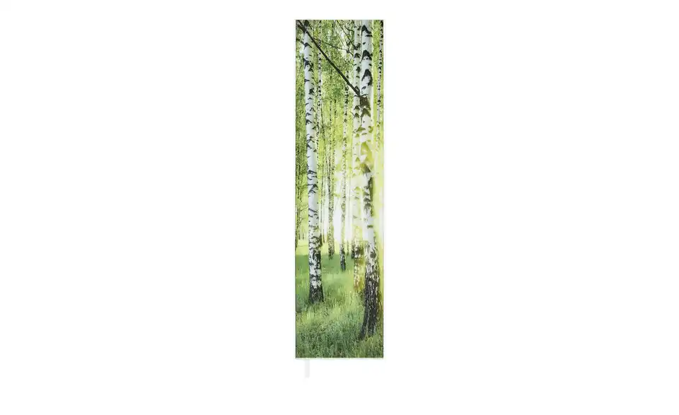 Mehrzweckschrank Bellano Motiv Forest