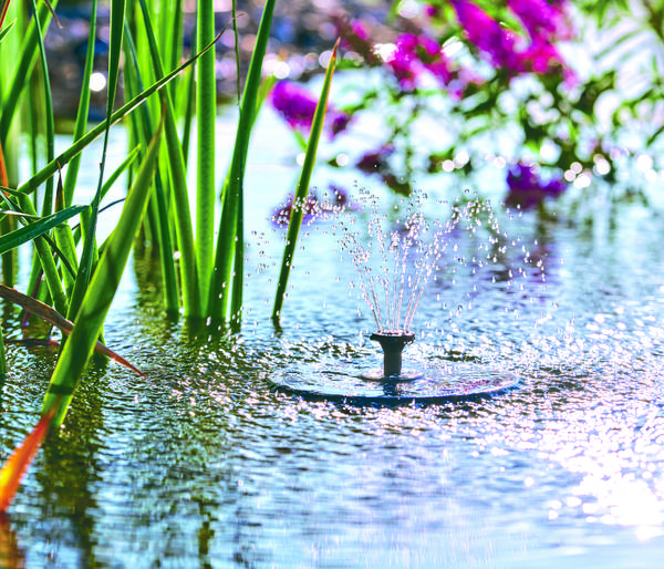 Pontec Wasserspielpumpe PondoSolar LED Island